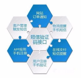 為什么需要這么多的驗證碼？——數字文化創意內容應用服務的視角